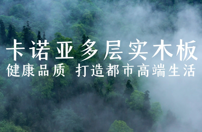 午夜视频在线播放多层实木板，环保品质再升级